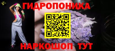 apvp Пушкино