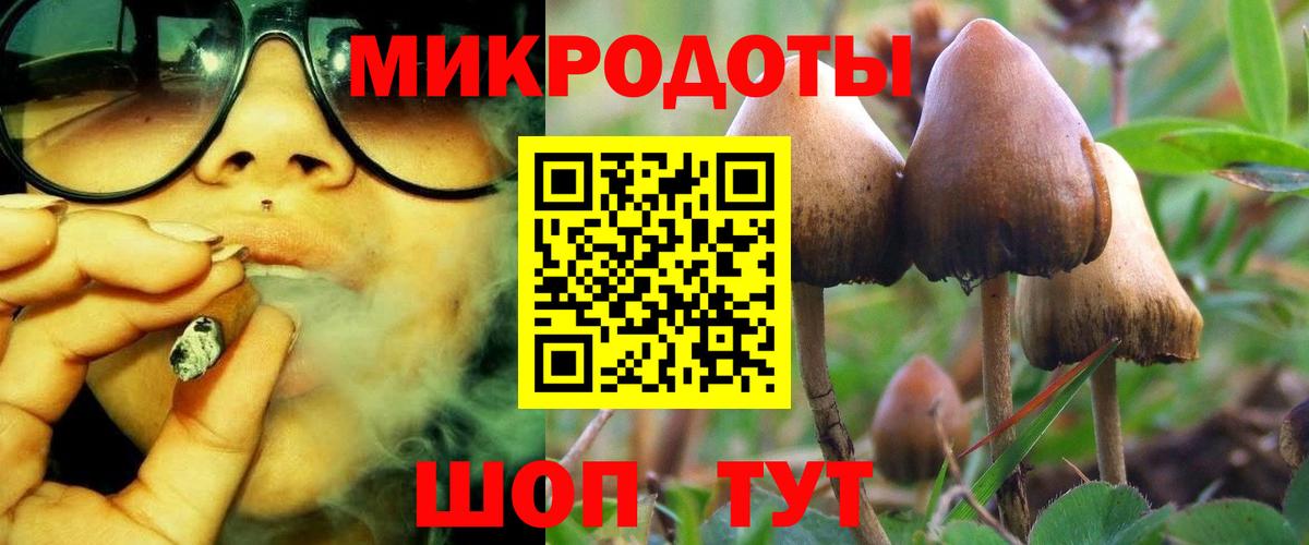 Белая Калитва  Псилоцибиновые грибы прущие грибы  Вход с VPN 